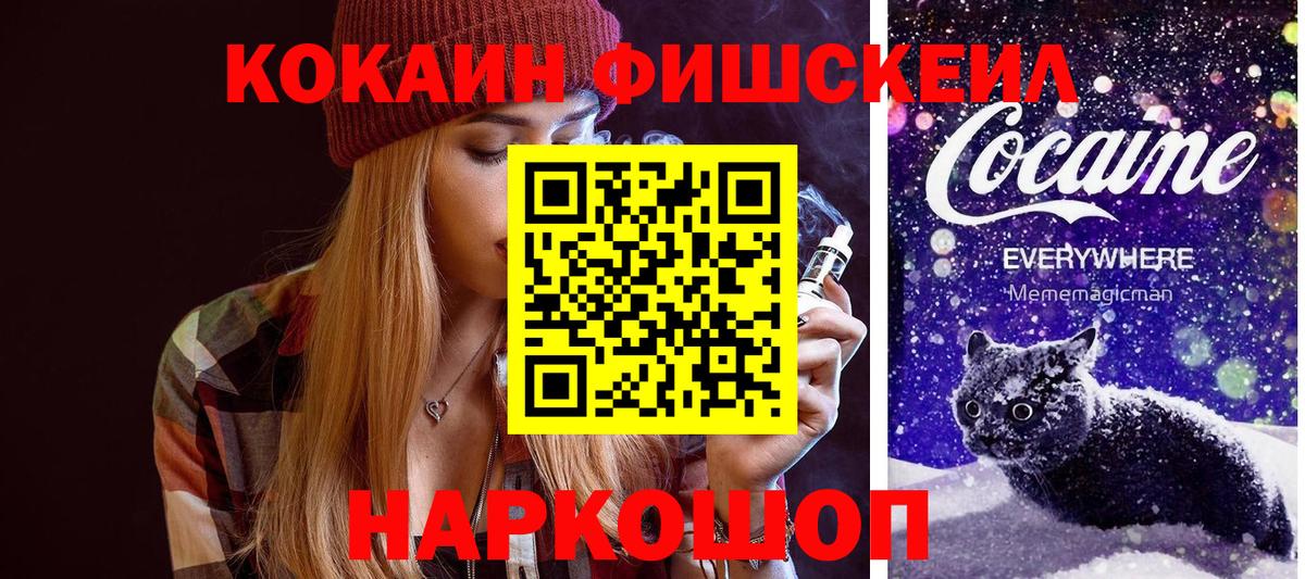 Кокаин Fish Scale  COCAIN  Петропавловск-Камчатский  купить наркоту  Cocaine 97%  Вход с VPN 
