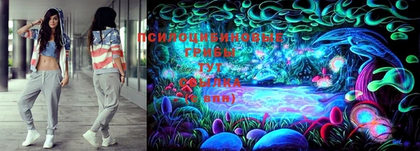 тгк Аркадак