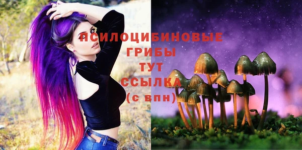 твердый Арсеньев