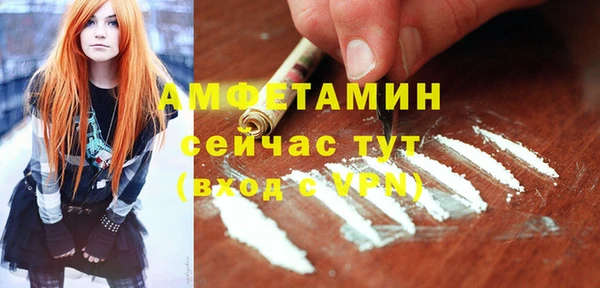 твердый Арсеньев