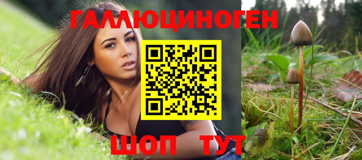 Псилоцибиновые грибы мухоморы Петропавловск-Камчатский
