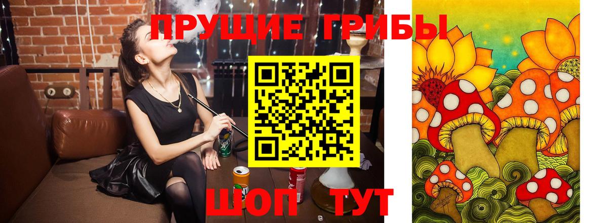 Псилоцибиновые грибы MAGIC MUSHROOMS  где можно купить наркотик  Петропавловск-Камчатский  Вход с VPN 